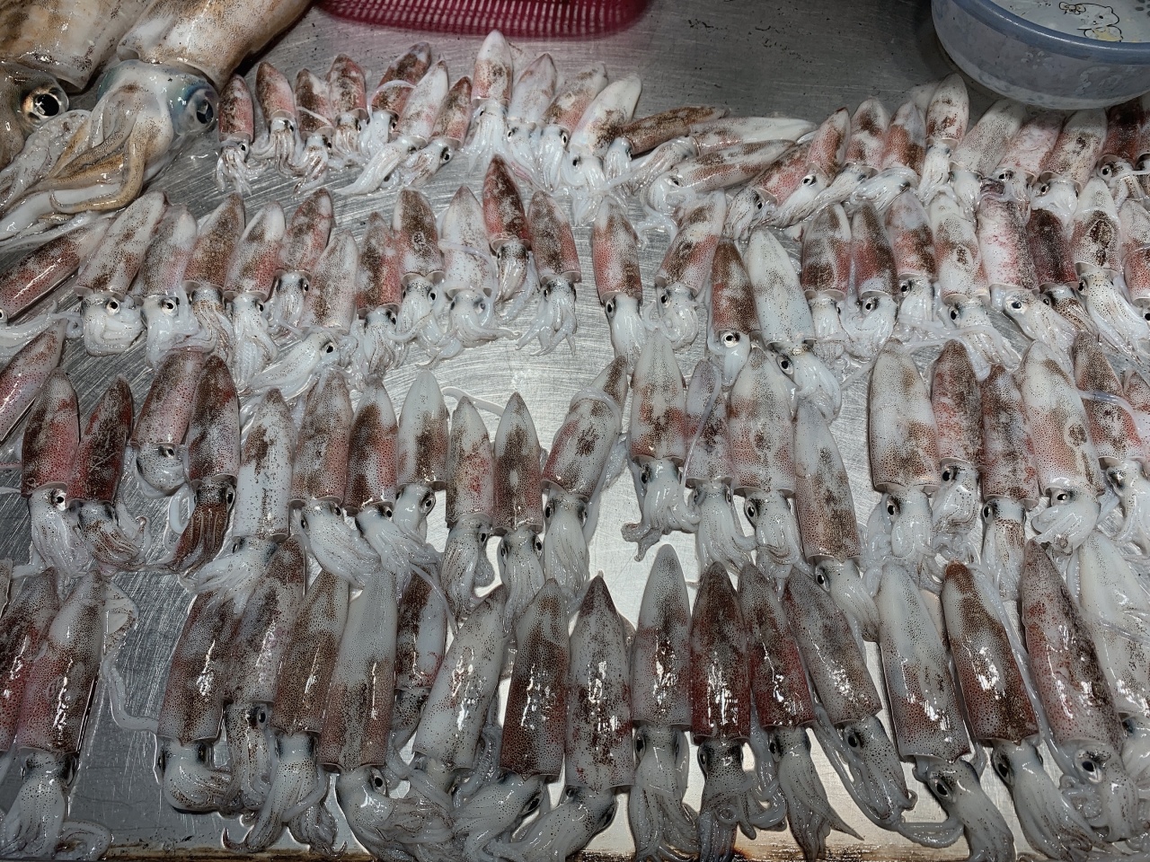 北海干货海鲜批发市场哪个便宜,北海菜市场买海鲜哪个最新鲜