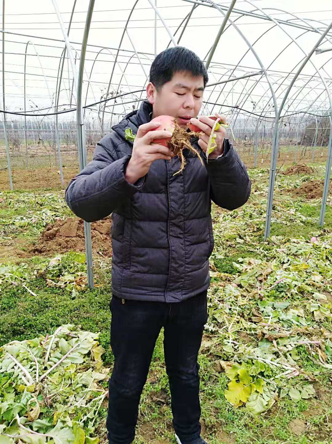 农村生活新鲜采摘纯天然绿色蔬菜,自家菜地里采摘天然无公害的蔬菜