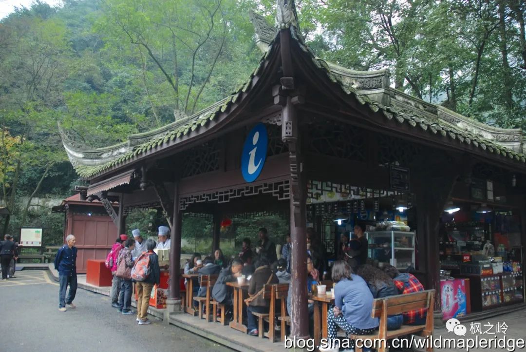 四川青城山问道,问道青城山最新消息