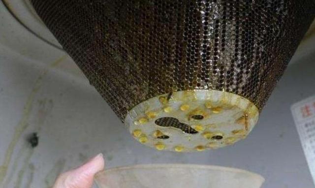 油烟机不用手擦哪里脏喷哪里,家里油烟机油污难清理