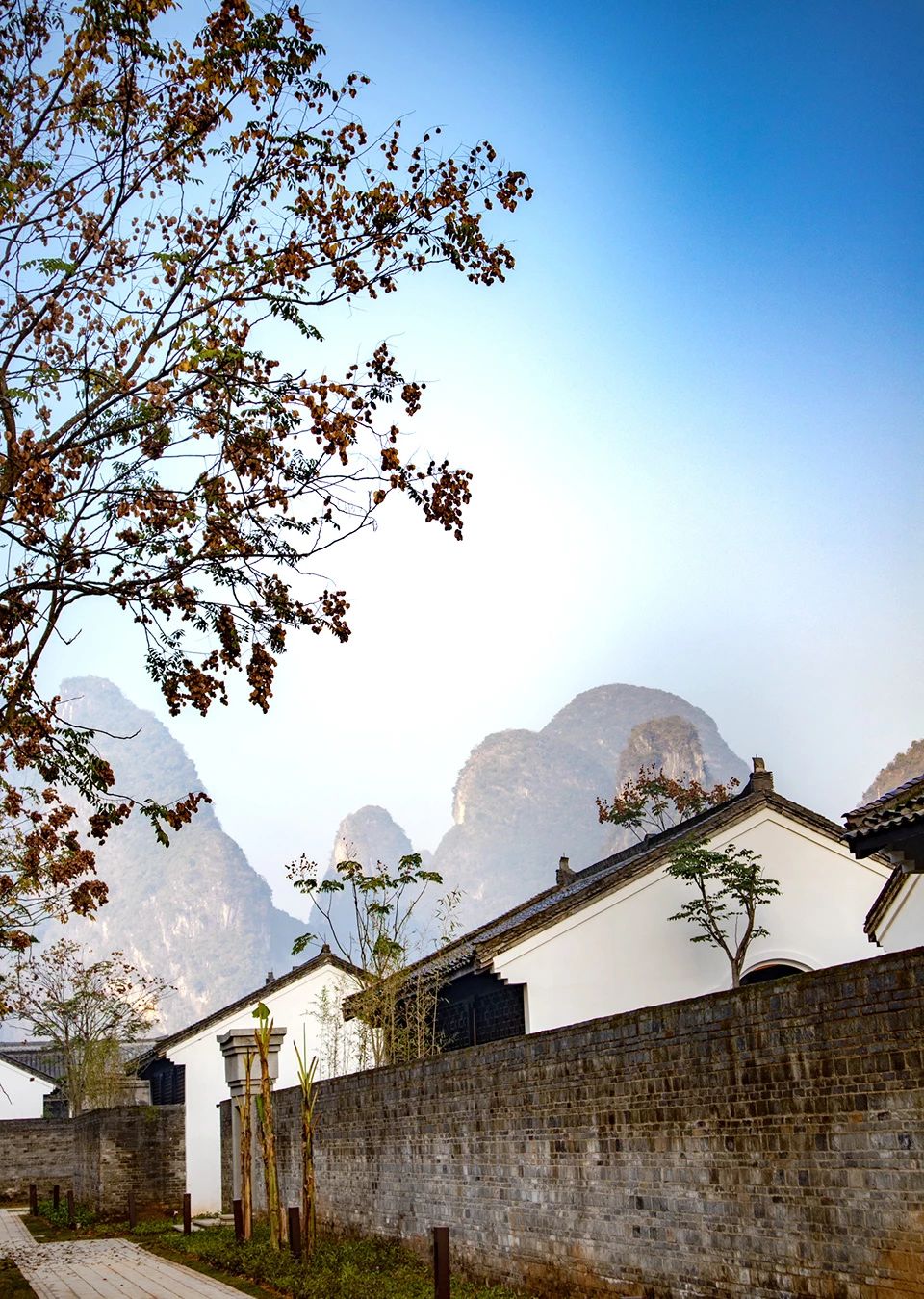 闃虫湐棣欐鍗庤嫻搴﹀亣閰掑簵,棣欐鍗庤嫻閰掑簵闃虫湐