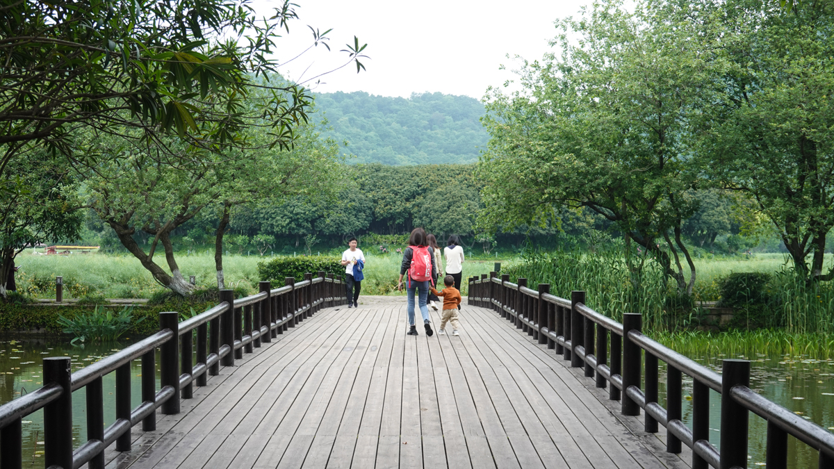 杭州八卦田遗址归谁,杭州南宋八卦田遗址公园