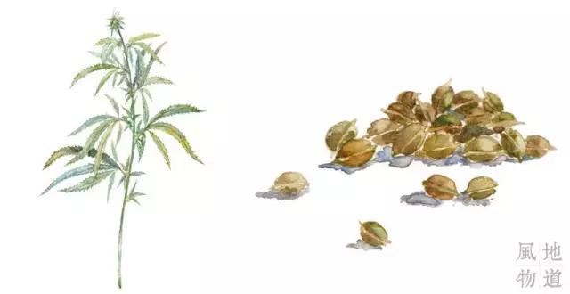 为什么有眼光的人来广西都会买这9种东西？