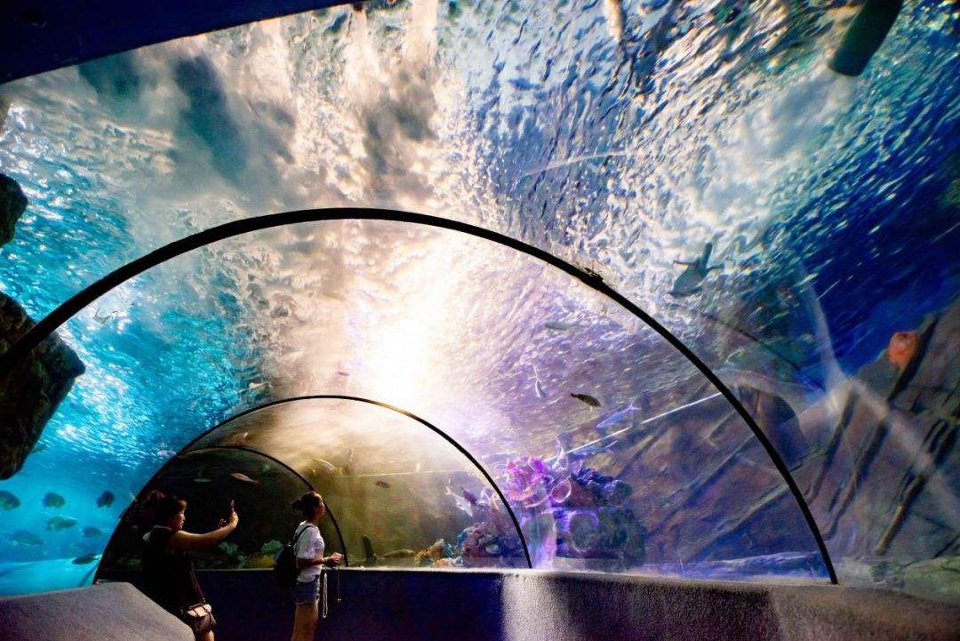 来北京看海，这三个地方都能实现，你会去哪个？