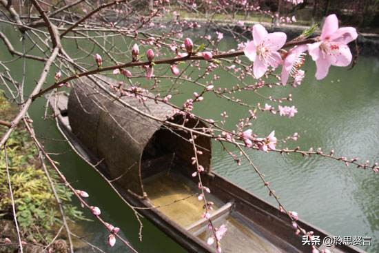 田园春景诗词,田园诗词二十首