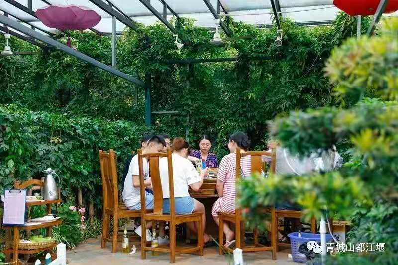 都江堰冬天,来都江堰清凉一夏