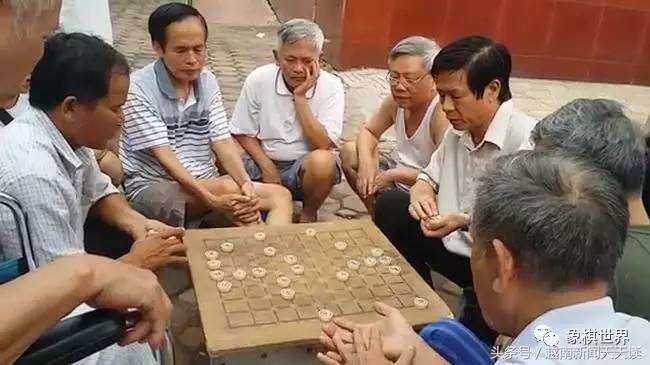 关于象棋的介绍和想法,象棋棋迷最新视频