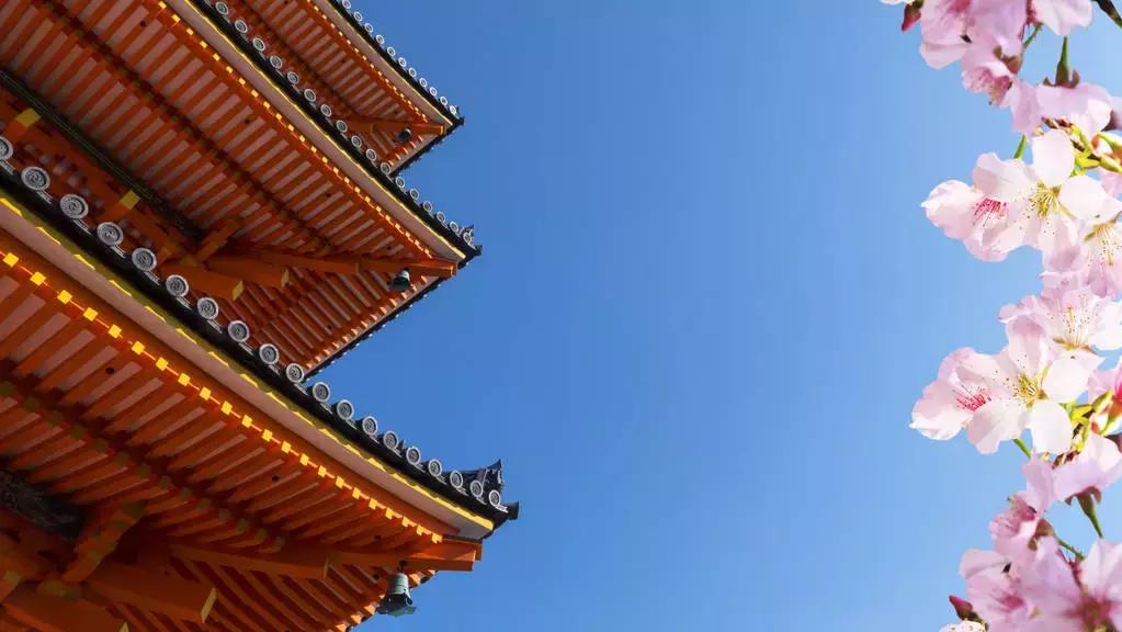 日本樱花季具体时间,日本樱花几月份去最好