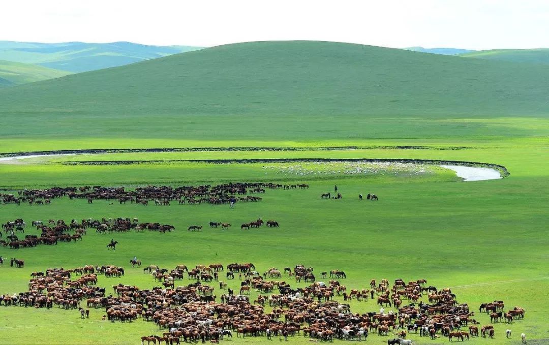 2019中国gdp排名前十城市,中国城市综合实力排名2019完整版