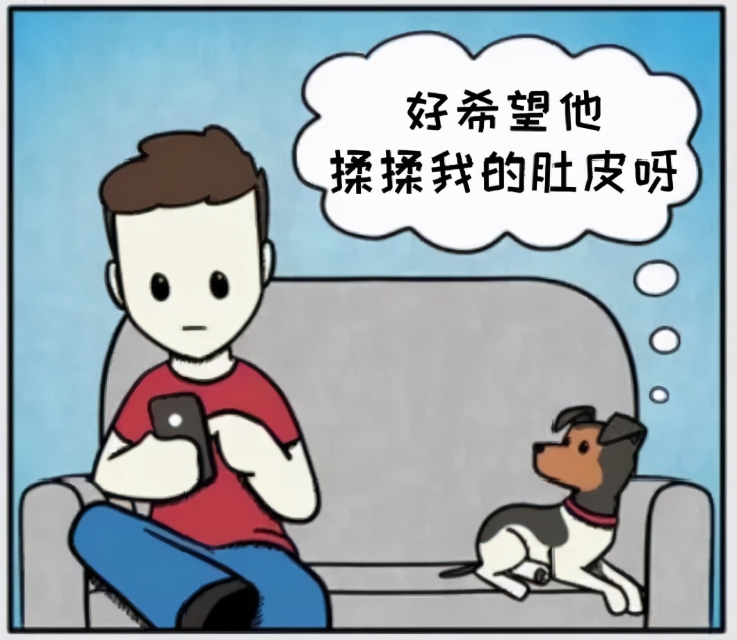 铲屎官和狗子的漫画,铲屎官和狗子们漫画