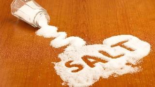 狗狗到底能吃芒果吗,狗狗到底能吃盐吗