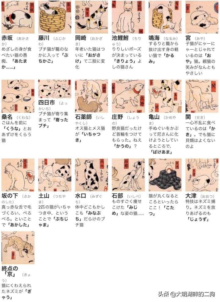 日本皇室特别喜欢给动物封官，每一个级别都比大名高