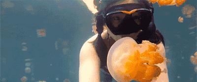 国外哪个海岛旅游可以海钓,度假海岛海钓刺激