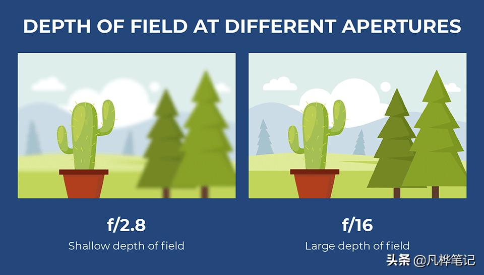 学习摄影入门画质,学习摄影有哪些常识