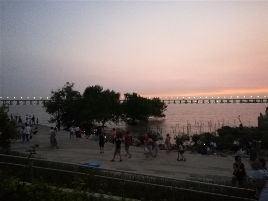 红树林发朋友圈句子,朋友圈吸引人的句子发呆