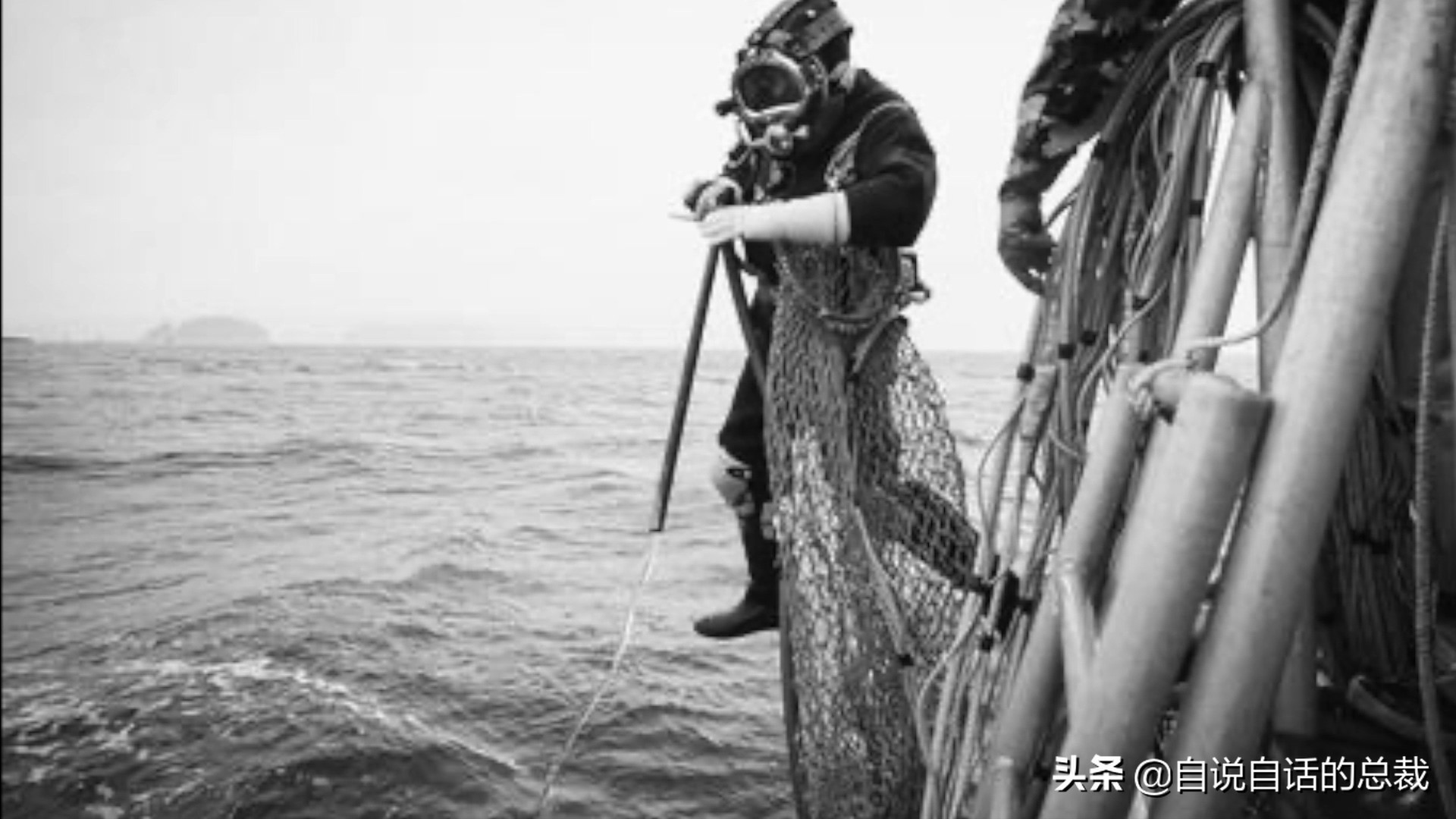 蚬蚌蛏的区别是什么,蚶子蛤蜊蚬子区别