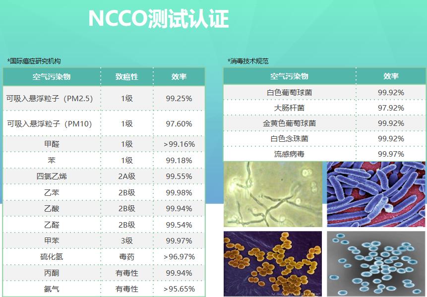 空净分解技术哪家强？RHT-NCCO技术VS友好CH-CUT技术