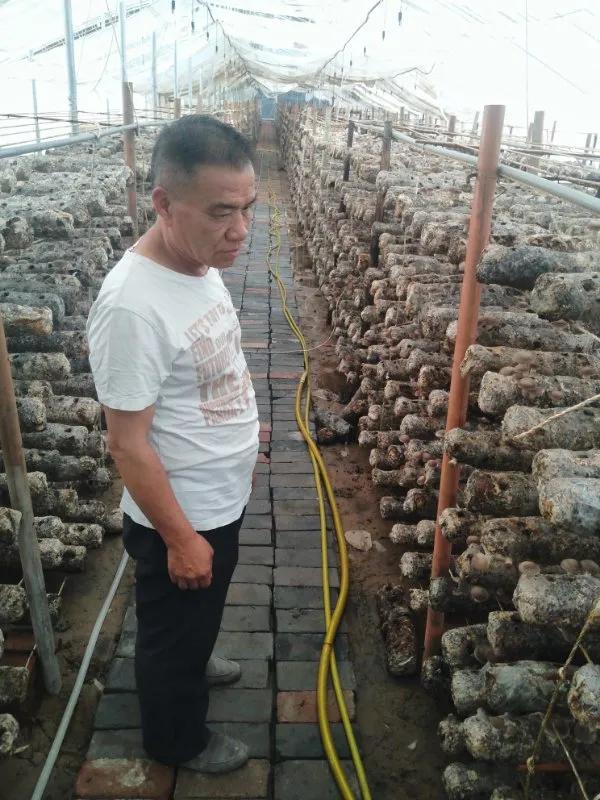 武安市绿色田园现代农业示范园区,武安绿色田园现代农业