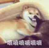 适合初学者的英语学习网站推荐,分享十个免费英语学习网站