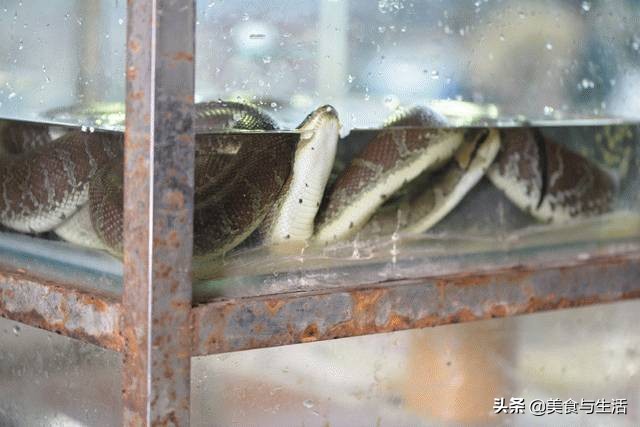 中国十大顶级大型海鲜市场在哪里,全国各大海鲜市场现状