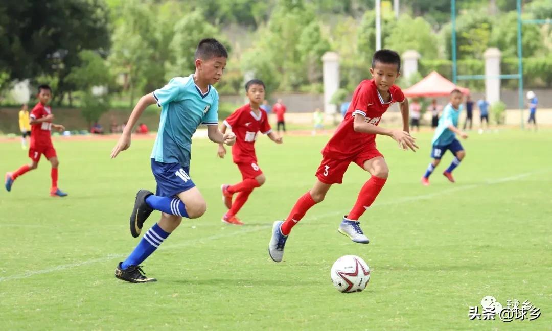 区中小学足球联赛,体教融合杯中学篮球赛