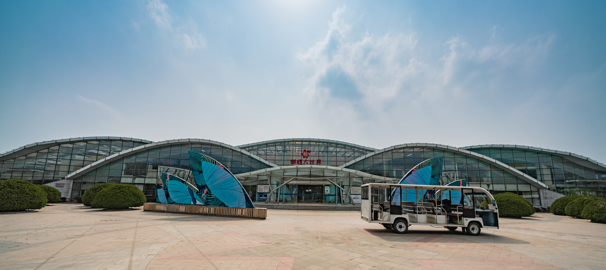 国际鲜花港郁金香,看郁金香北京国际鲜花港