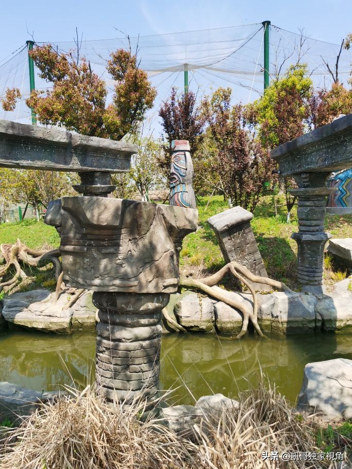 不一样的南通动物园,南通森林野生动物园和上海动物园