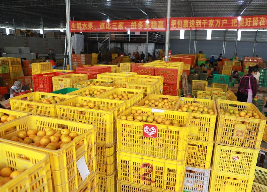 拼多多对农产品推广有什么优势,拼多多农产品运营技巧详解