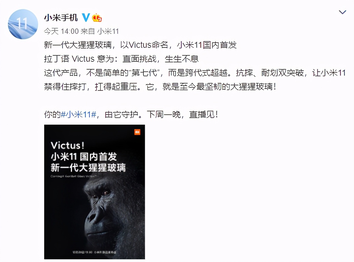 小米11康宁大猩猩玻璃正面反面,小米11pro屏是康宁大猩猩玻璃吗
