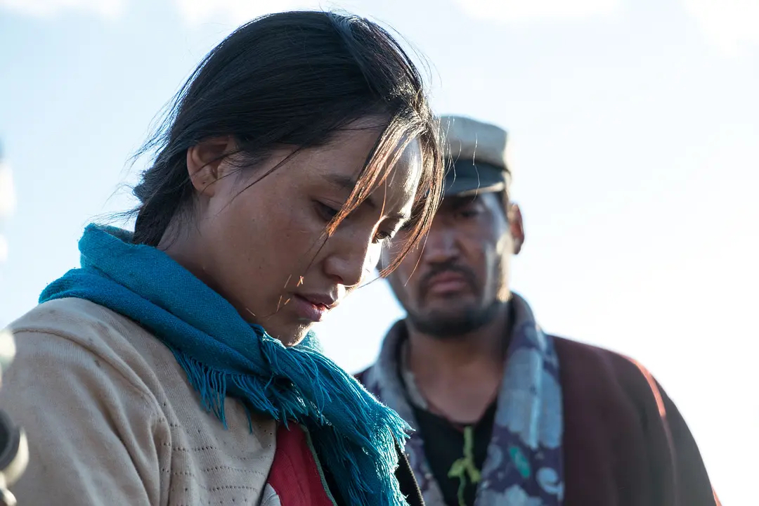 章宇宋佳演豪情戏，王*源千**肉搏吴彦祖，谁能在最惨11月成为黑马