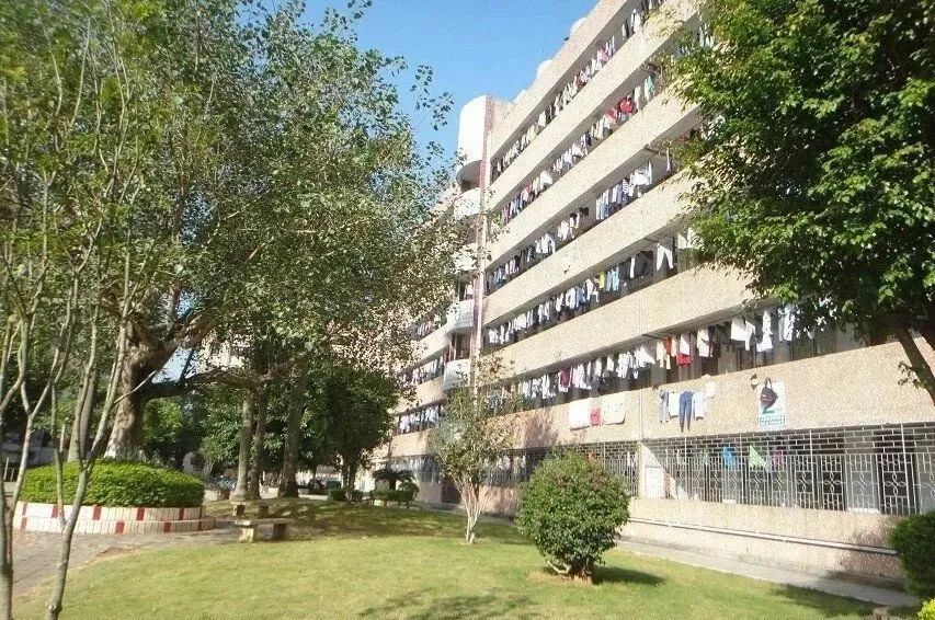 高职高考嘉应学院技能考试,梅州嘉应学院高职高考分数排名