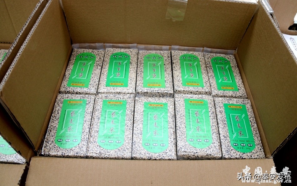 致富新项目快速盈利方法,赚钱新模式创业项目