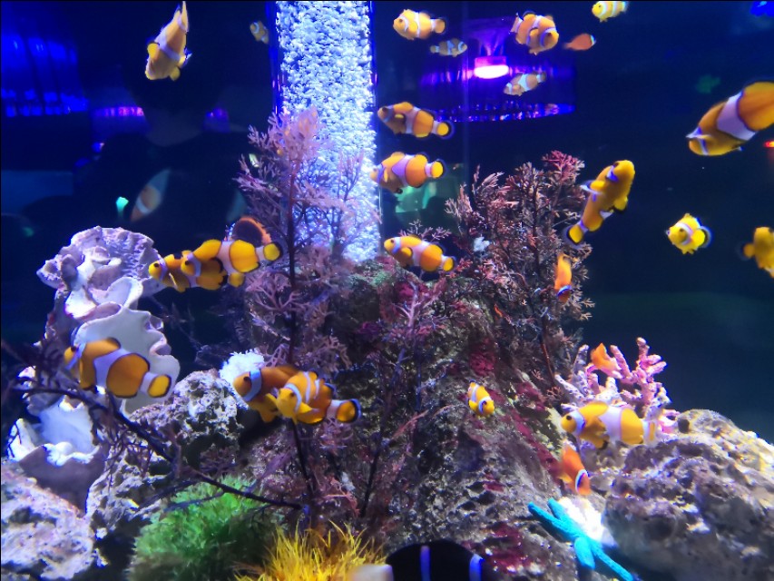 北京工体富国海底世界周一营业,北京工体富国海底世界旅馆