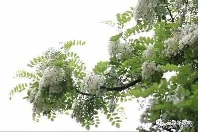 父亲去世时我不在身边,爸爸去世后我很少梦见他