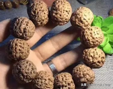 介绍几种文玩核桃和金刚菩提,文玩金刚手串介绍