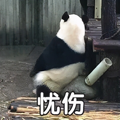 英文电子邮件开头问候语大全,礼貌问候英文邮件