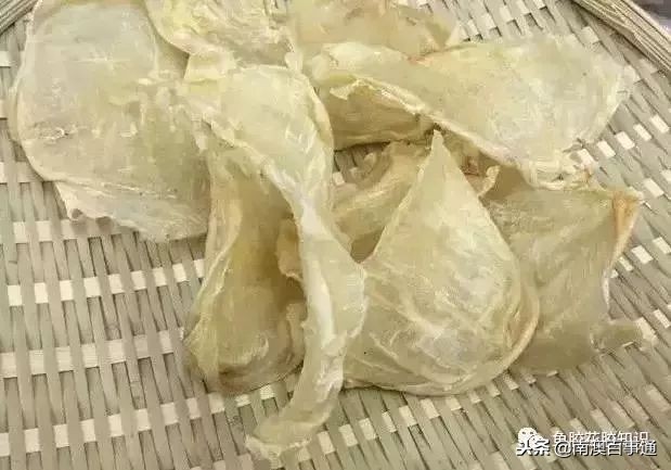 涨知识！鱼胶种类大全，不看亏大了！