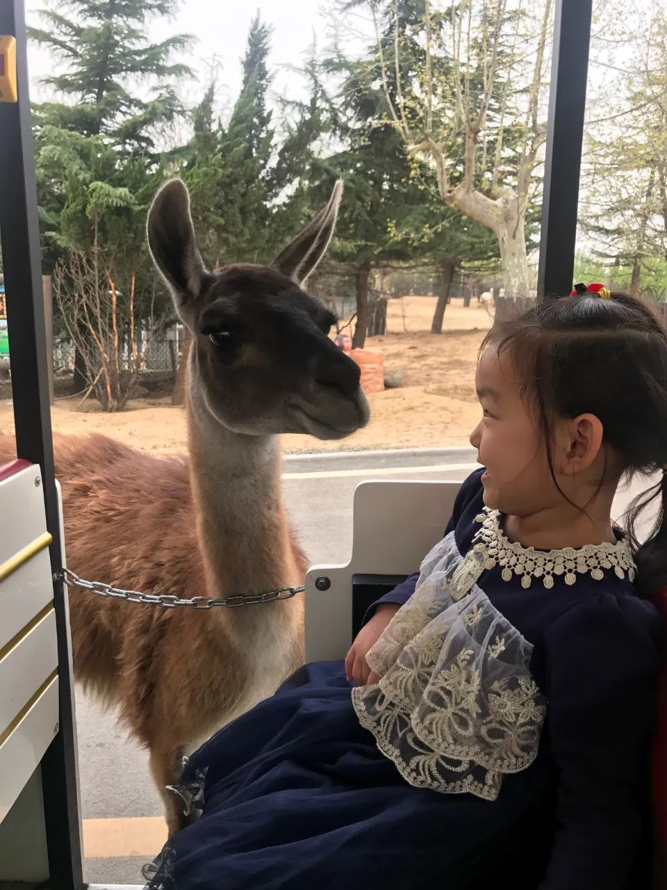 济南亲子遛娃景点排行榜夏季,济南槐荫区遛娃好去处很近的