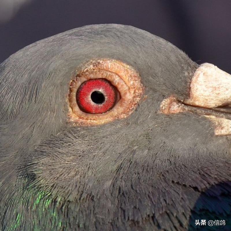 恒大风波起源,恒大风波的影响