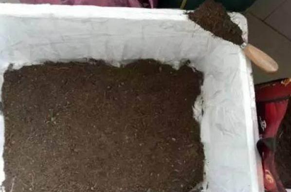 室内养花种菜工具箱,用泡沫箱可以做厨余垃圾堆肥水吗