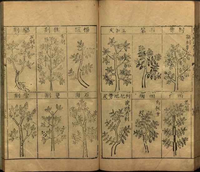 李时珍与本草纲目ppt课件,神农本草经正版李时珍书籍