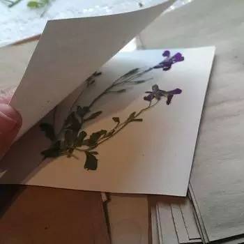 买手机送的透明壳，太难看？小姐姐教你做出最美“花壳”，收藏