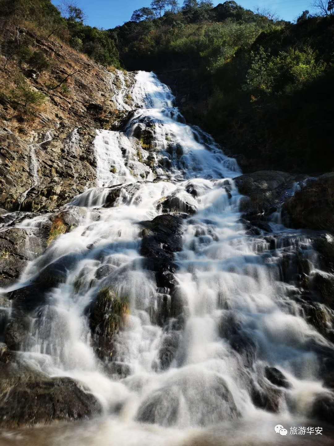 春风十里不如你，我在华安等着您