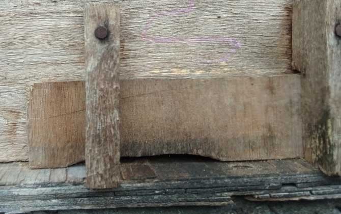 蜜蜂病虫害的防治大全,蜜蜂怎么预防蜘蛛病害发生