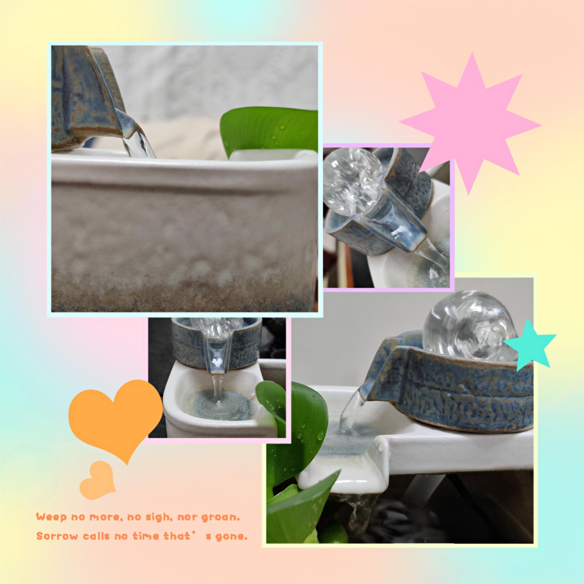 关于鱼缸的风水讲究图片,鱼缸的风水知识禁忌