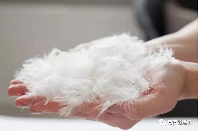 迷彩加拿大鹅多少钱一件,真正的加拿大鹅怎么样