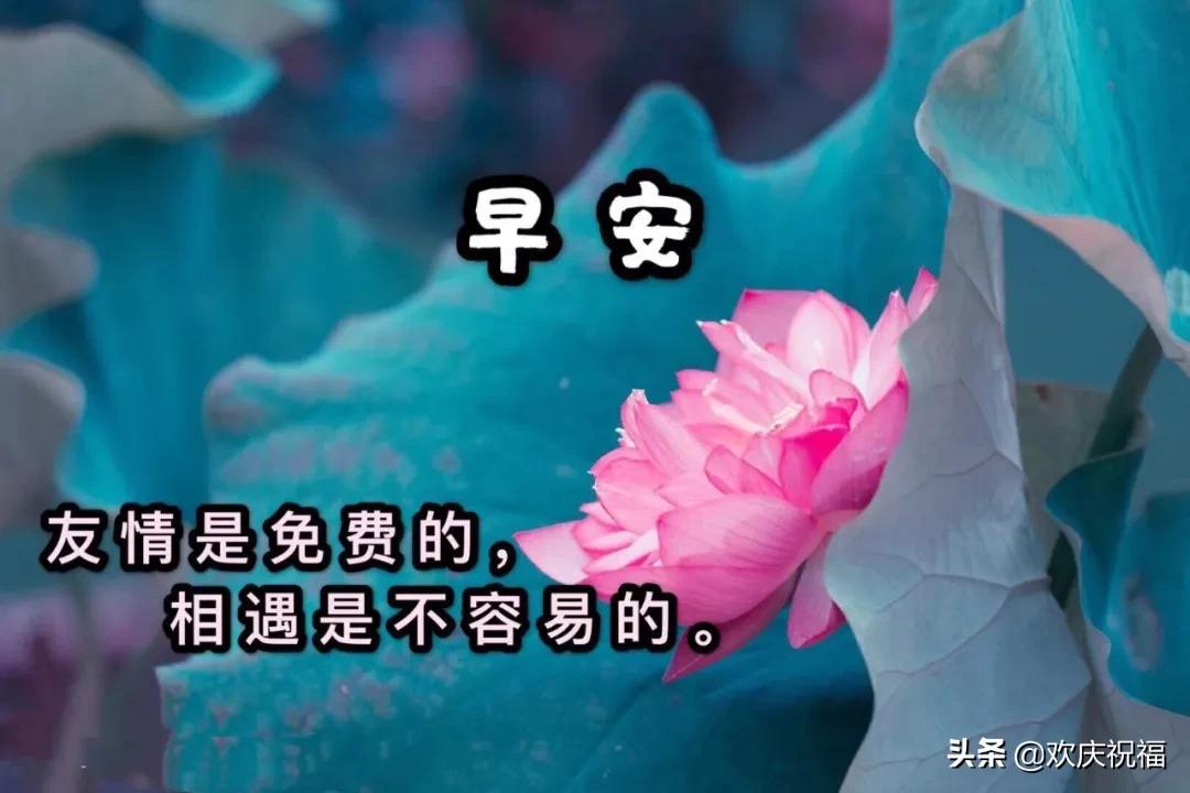 鼠年春节早上好祝福语动态图片,鼠年初一祝福图片动态图