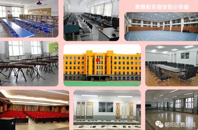 长春市朝阳区小学综合排名,长春朝阳区小学实力排名前十名