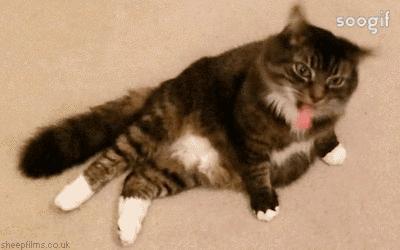 科威特气温超70辟谣,科威特气温超70度意味着什么