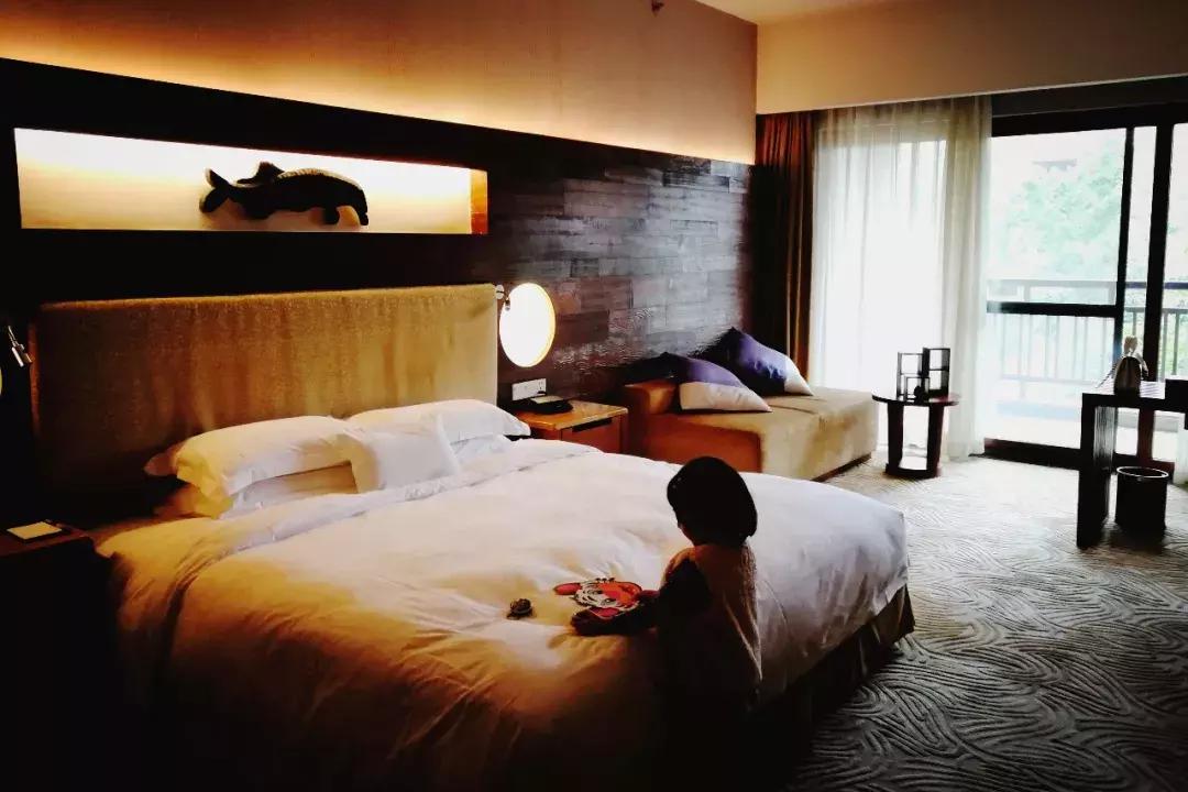 去广州长隆动物园怎么玩划算,广州长隆动物园一天最全游玩攻略